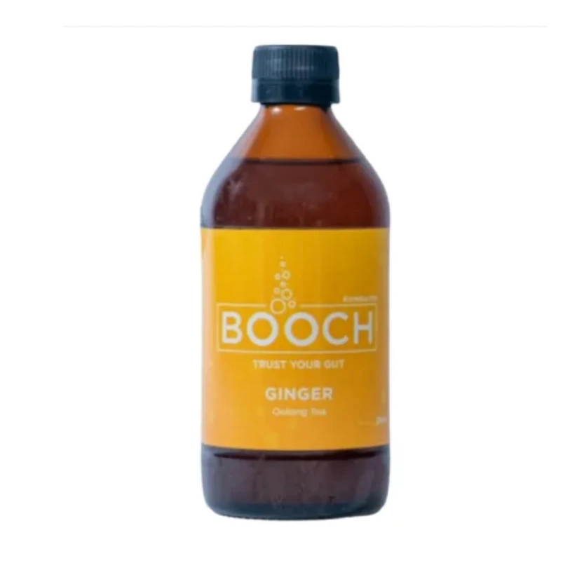 [BL6663] Kombucha Ginger 300ml